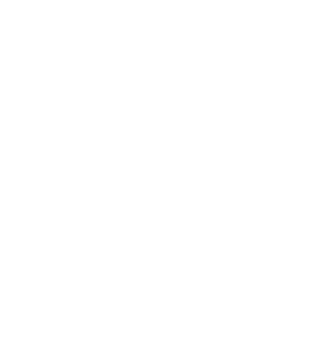 データ